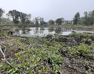 Drain Pond with surrounding landscaping