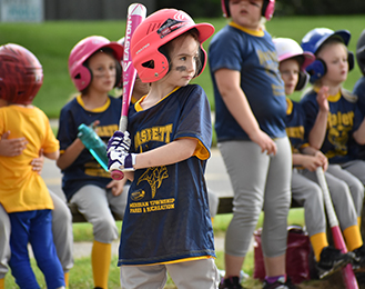 Girls Softball Haslett News Item