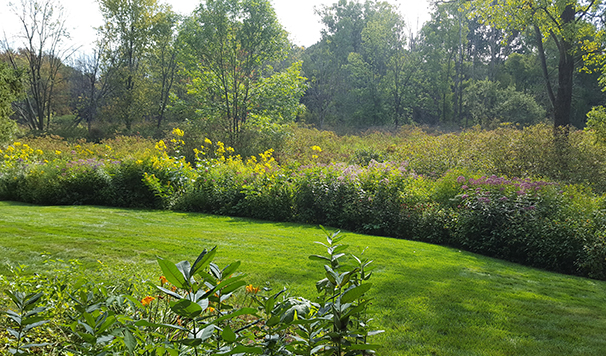 Wetland Buffer Image Rotate Size