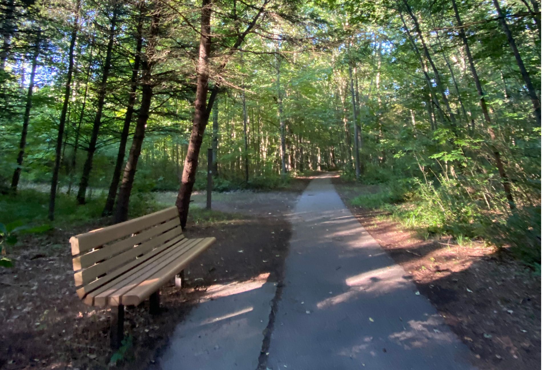 trail, trails, Harris Nature Center trails