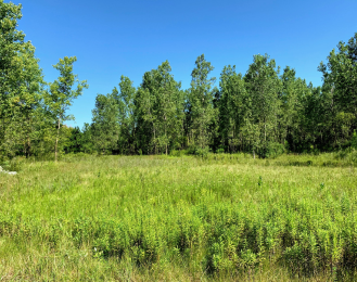 Photo of Heron Creek Preserve in the summer