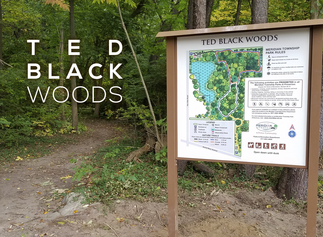 Ted Black Woods