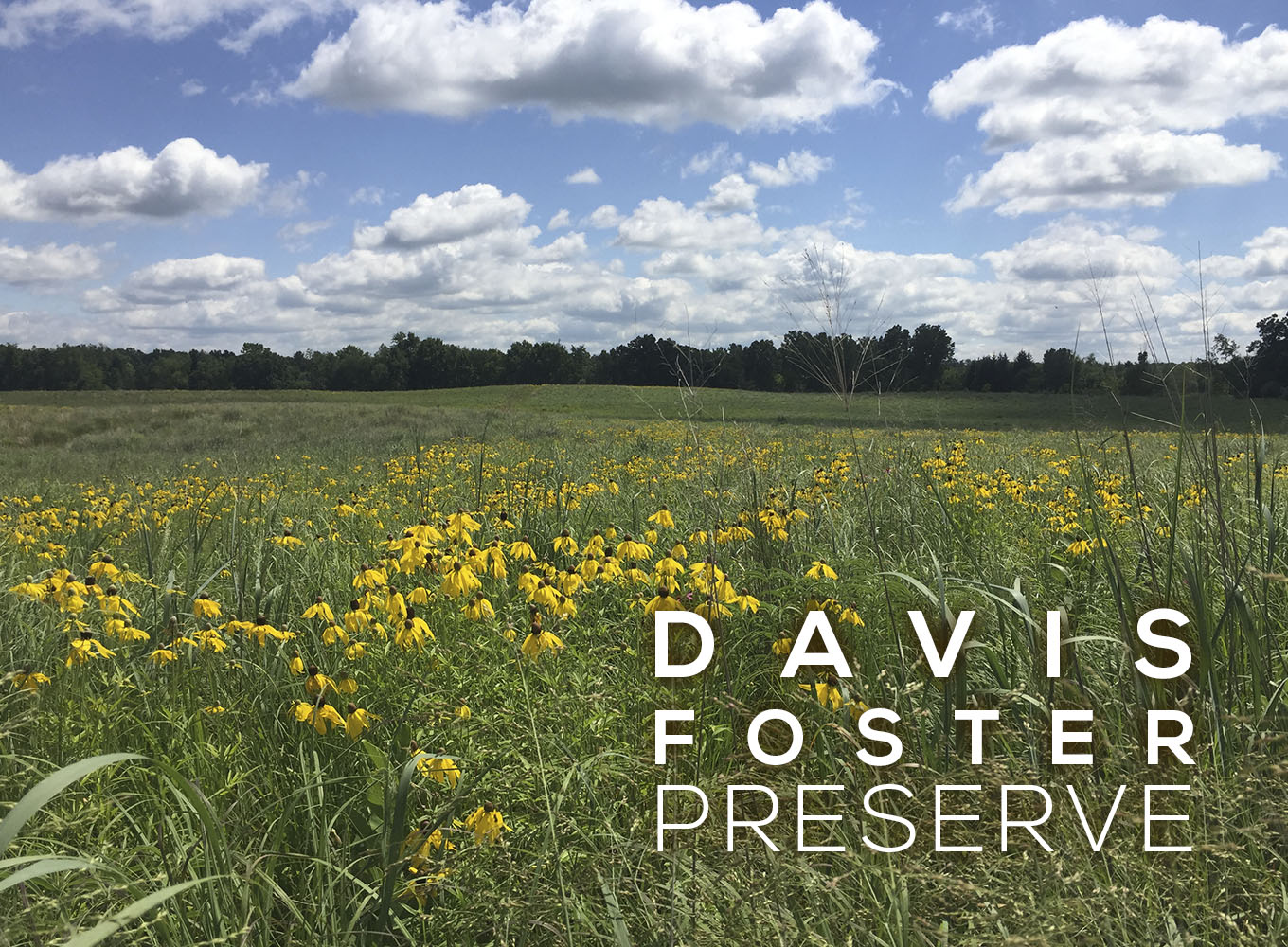 Davis Foster Preserve