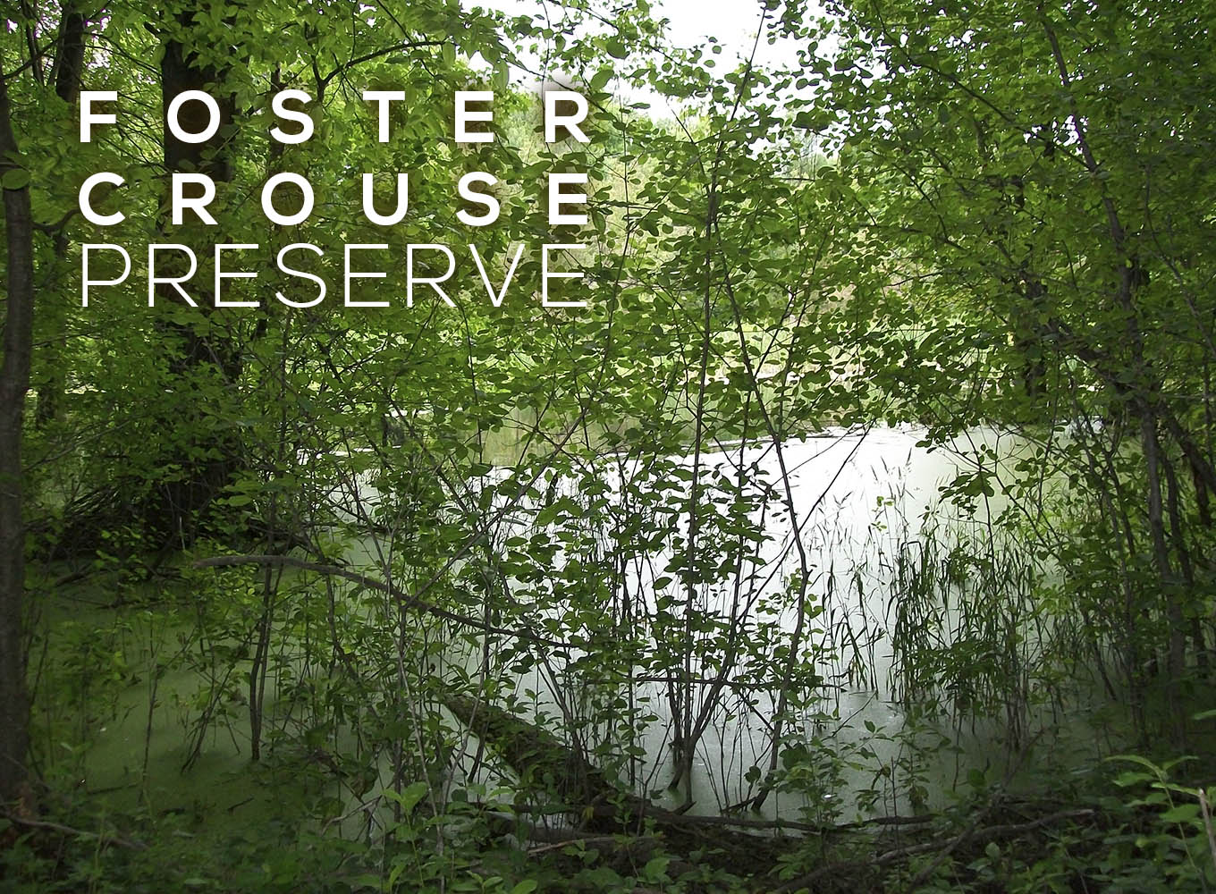 Foster Crouse Preserve