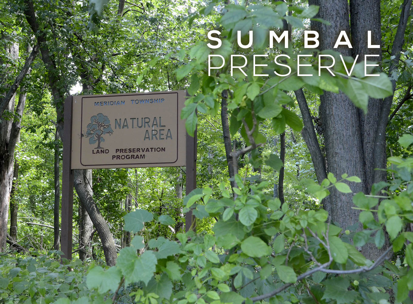 Sumbal  Preserve