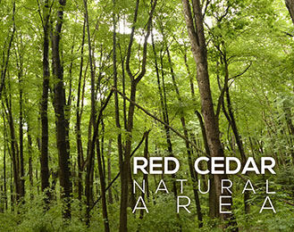 Red Cedar Natural Area