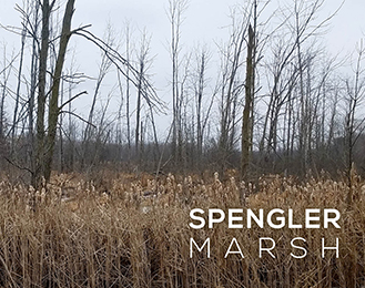 Spengler Marsh