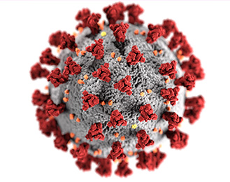 COVID-19 Germ Molecule